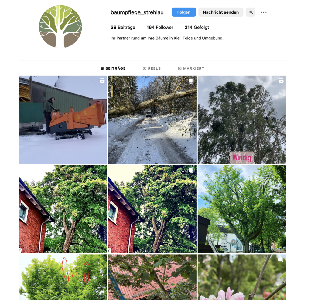 Instagram Feed Baumpflege_strehlau