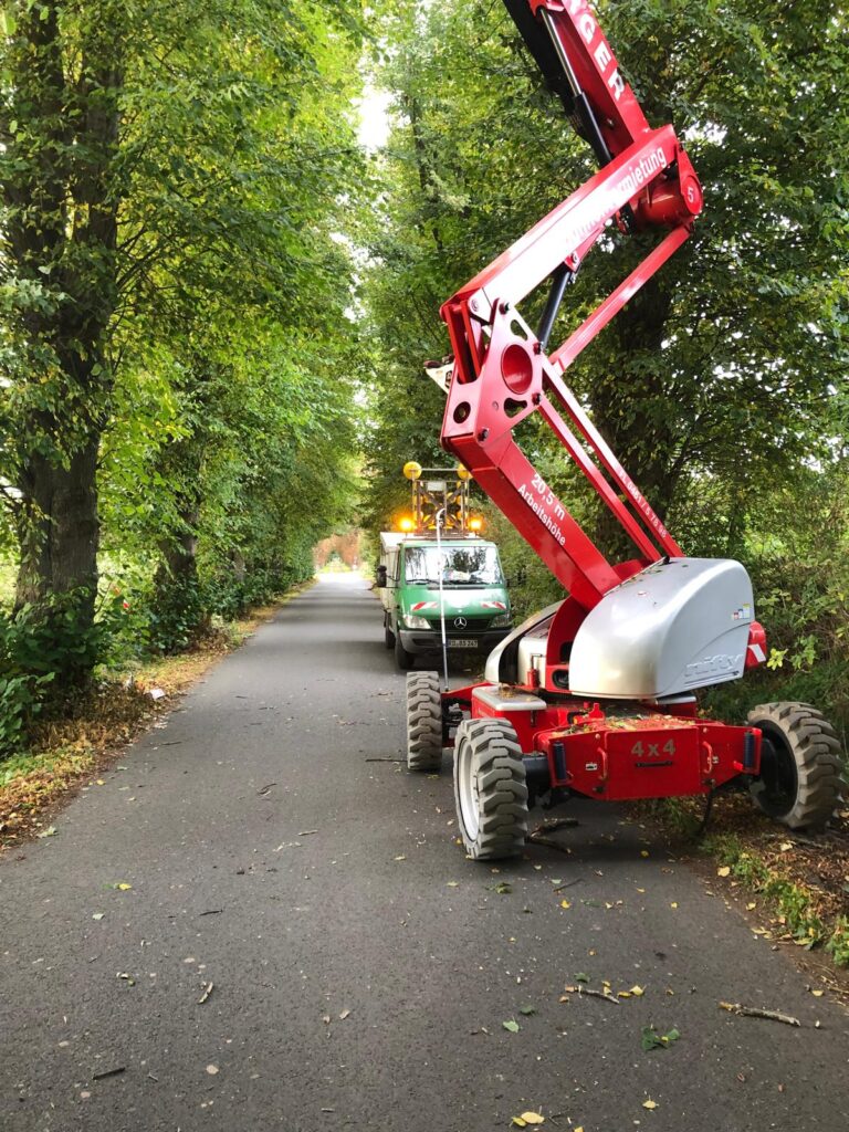 Bild Herstellung der Verkehrssicherheit Ostsee Baumpflege in Kiel